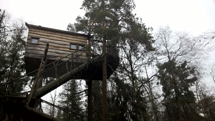 WP_20151031_14_03_37_Pro