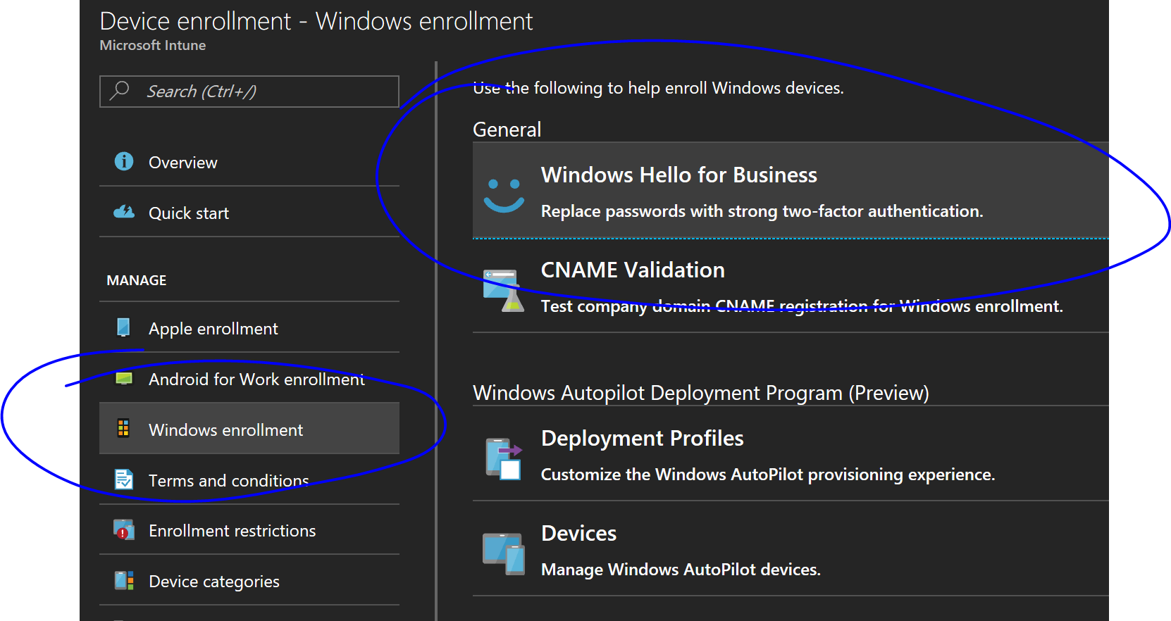 manage windows hello for business